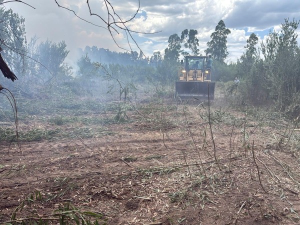 Incendio de grandes dimensiones en Cerro Azules; intendencia colabora para extinguirlo
