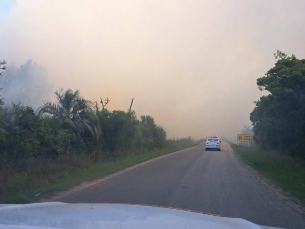 Fue extinguido incendio de campo en Rutas 9 y 39 en cercanías de San Carlos
