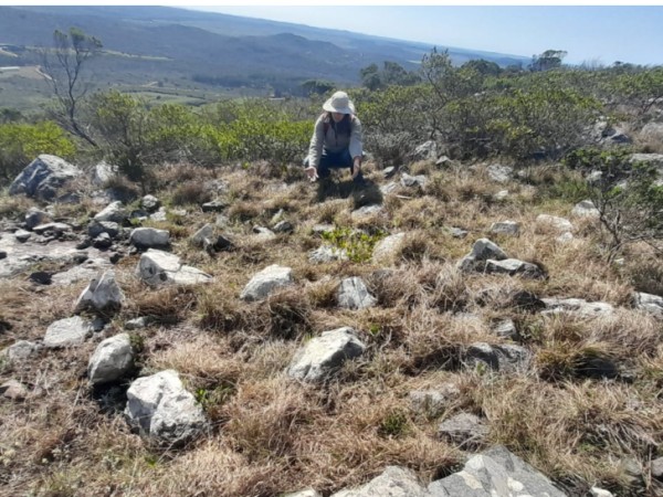 cerro betete, maldonado