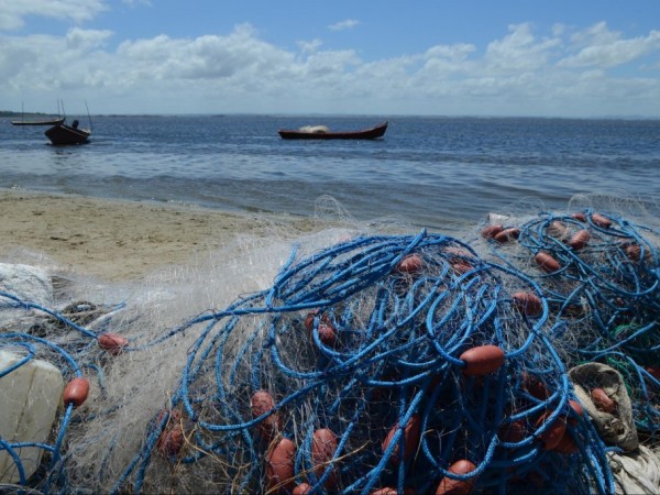 Reclaman regularización de pesca comercial a pequeña escala