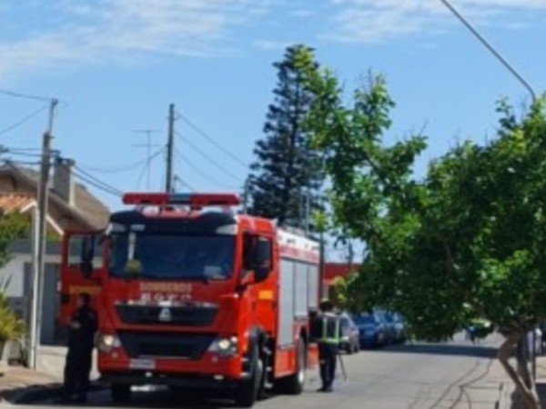 bomberos, incendio, Maldonado Nuevo