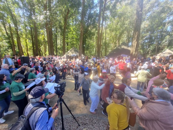 Encuentro,Nacional,personas,mayores,parque,Mancebo